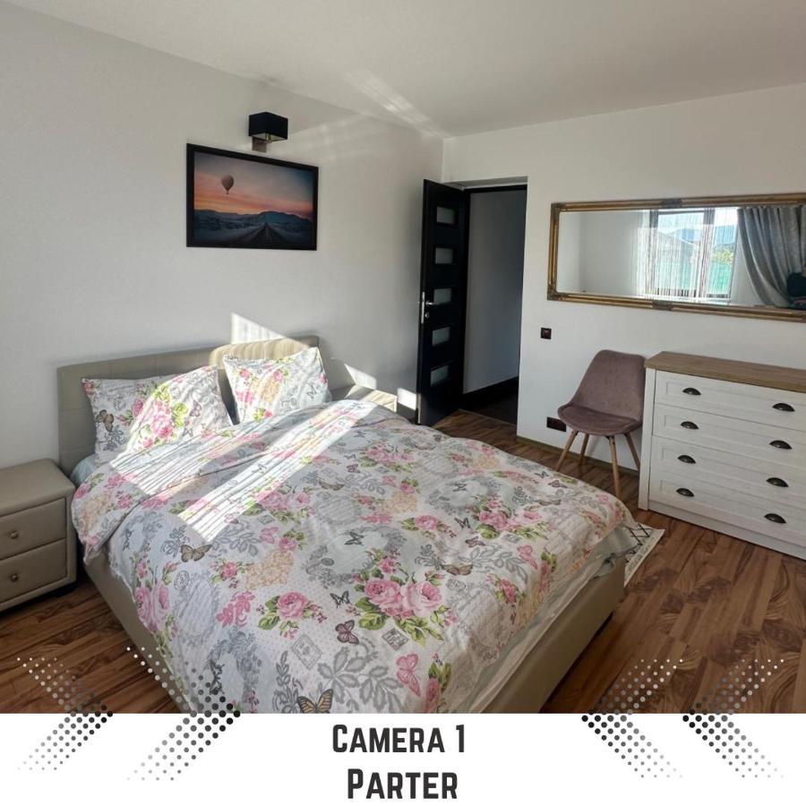 Vila Mik Guesthouse Săcele Dış mekan fotoğraf