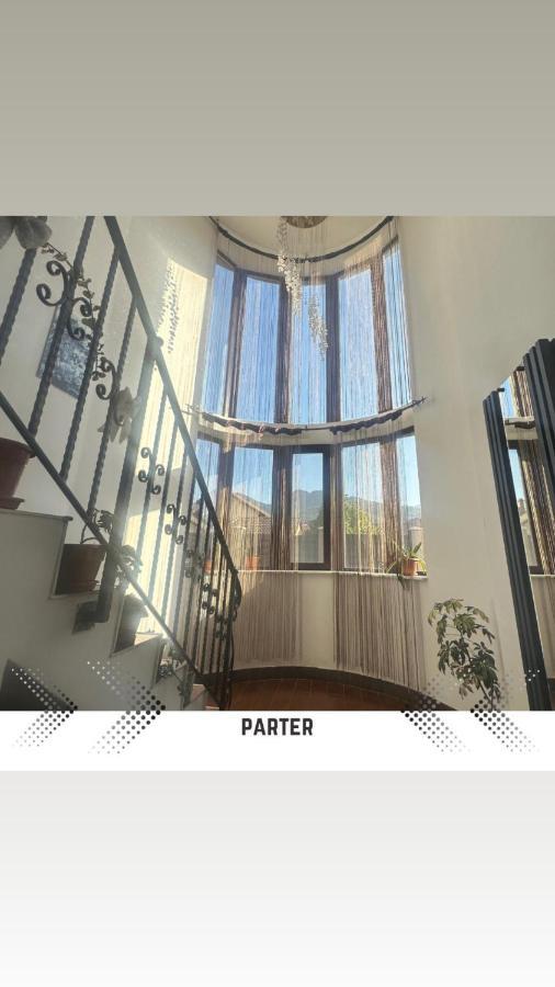 Vila Mik Guesthouse Săcele Dış mekan fotoğraf